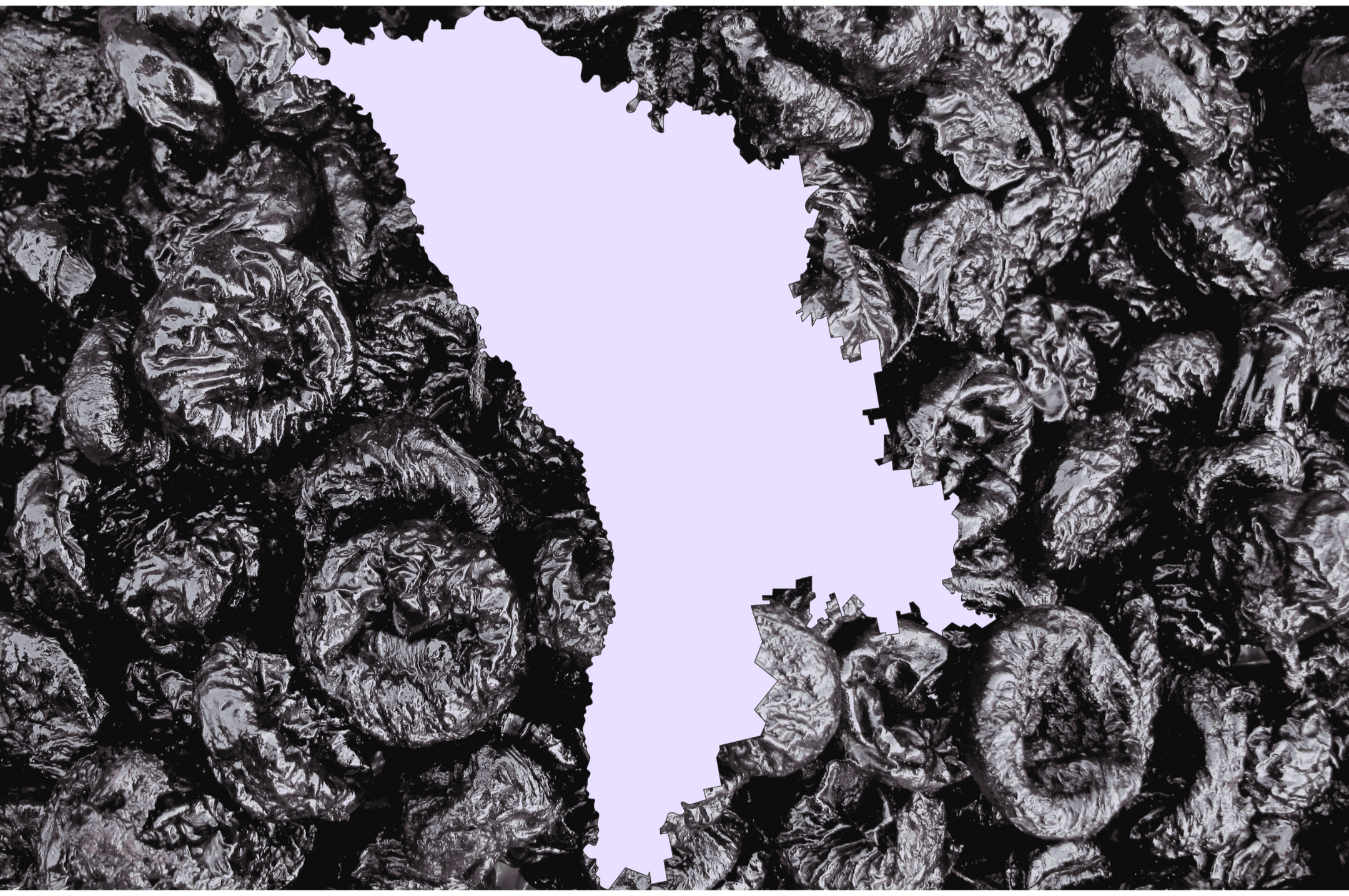 Großhandel mit getrockneten Pflaumen aus Moldau Getrocknete Pflaumen aus Moldau im Großhandel — Lieferant für EU-Importeure